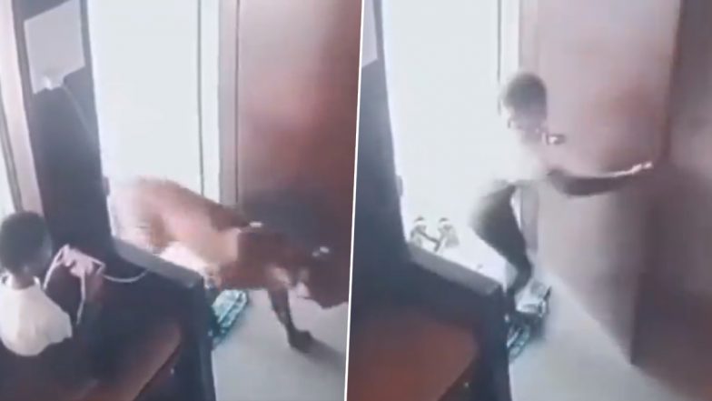 Malegaon Leopard Viral Video: फोन पर वीडियो गेम खेल रहा था लड़का, उसी दौरान घर में घुस गया तेंदुआ- VIDEO