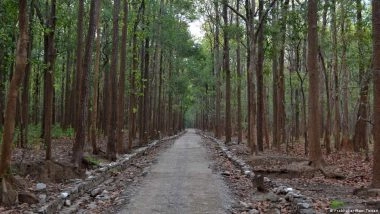 सुप्रीम कोर्ट ने जिम कॉर्बेट के मुख्य क्षेत्र में बाघ सफारी पर क्यों लगाया बैन