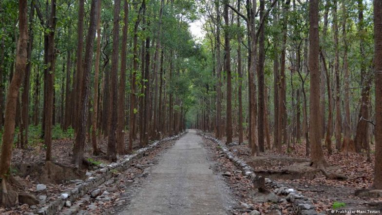 सुप्रीम कोर्ट ने जिम कॉर्बेट के मुख्य क्षेत्र में बाघ सफारी पर क्यों लगाया बैन