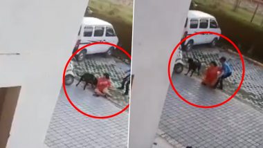 Video-Dog Bites Woman: लखनऊ के एक अपार्टमेंट में कुत्ते ने महिला को काटा, सुरक्षा कर्मियों ने बचाई जान, देखें वीडियो