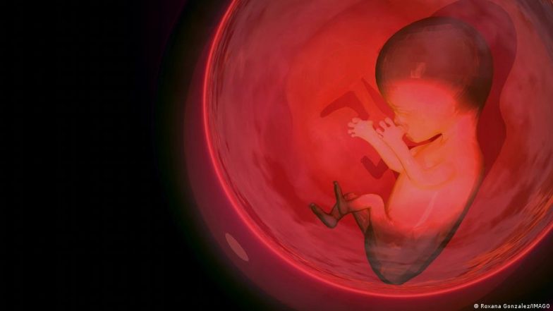 Scientists Grow Mini Lungs- Kidney: लैब में बनाए मिनी किडनी और मिनी फेफड़े, गर्भवती महिलाओं को हो सकता है फायदा