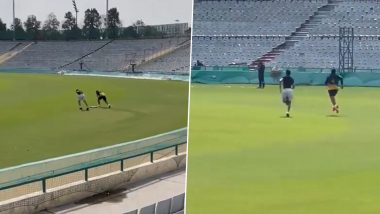Shubman Gill Training at PCA Stadium: इंग्लैंड के खिलाफ धर्मशाला में आखिरी टेस्ट से पहले मोहाली में टीम इंडिया के बल्लेबाज शुभमन गिल ने की ट्रेनिंग, देखें वीडियो 