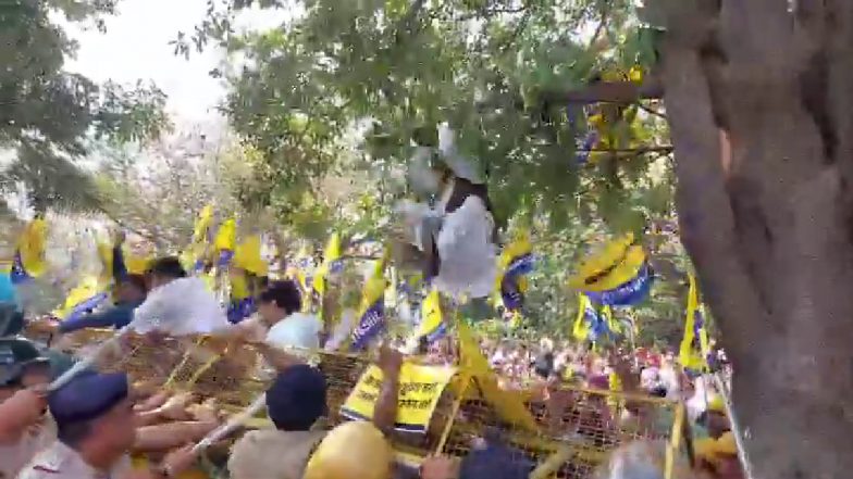 VIDEO: अरविंद केजरीवाल के लिए पेड़ पर लटके नेताजी! वीडियो में देखें AAP का विरोध प्रदर्शन