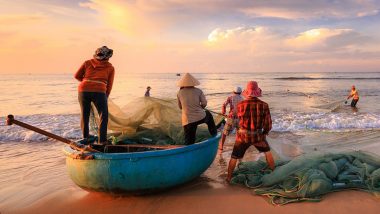 21 Indian Fishermen Detained By Sri Lanka: श्रीलंकाई नौसेना ने  21 भारतीय मछुआरों को पकड़ा, अवैध रूप से मछली पकड़ने का आरोप