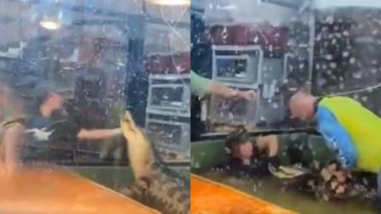 खूंखार मगरमच्छ ने अचानक कर दिया जू-कीपर पर हमला, फिर जो हुआ... Viral Video देख दंग रह जाएंगे आप