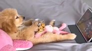 Viral Video: स्नैक्स खाते हुए मजे से टैबलेट पर कार्टून देखने लगा कुत्ता, मनमोहक वीडियो हुआ वायरल