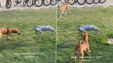 Robot Dog: जब असली कुत्ते के सामने आ गया रोबोट डॉग, फिर जो हुआ... Viral Video देख दंग रह जाएंगे आप