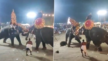 Kerala: मंदारकदावु में त्योहार अराट्टुपुझा पूरम में अनुष्ठान के लिए लाए गए दो हाथी बेकाबू होने के बाद आपस में भिड़े, मची भगदड़, देखें वीडियो