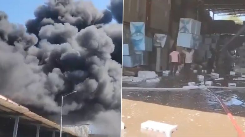 Gujarat Fire: वलसाड के सरिगाम GIDC इलाके में एक कंपनी में लगी भीषण आग, काबू पाने की कोशिश जारी, देखें वीडियो