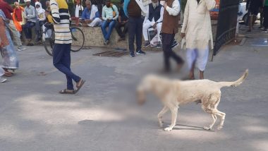 Lucknow Shocker: इंसान का कटा हाथ मुंह में फंसाकर घुमता रहा आवारा कुत्ता, इलाके में फैली दहशत, देखें तस्वीरे