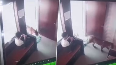 Viral Video: घर में बैठकर मजे से मोबाइल चला रहा था बच्चा, तभी कमरे में दबे पांव घुस आया तेंदुआ और फिर...