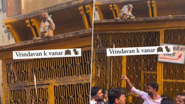 बंदर की चालाकी के आगे फेल हुआ शख्स, अपना सामान वापस पाने के लिए करनी पड़ी डील (Watch Viral Video)