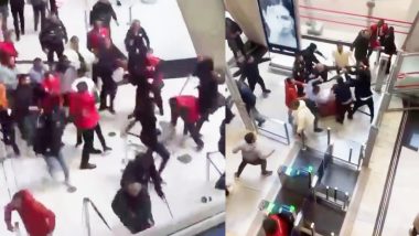 Paris Fight Video: पेरिस एयरपोर्ट पर मारपीट का वीडियो वायरल, करीब 25 लोगों के बीच जमकर चले लात-घूसे