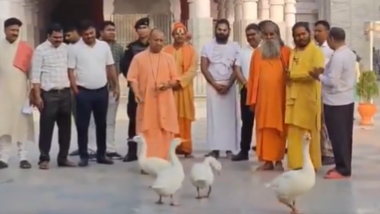CM Yogi Feeding Ducks: सीएम योगी ने किया गोरखनाथ मंदिर का दौरा, गायों को गुड़ और बत्तखों को खिलाया दाना, देखें VIDEO