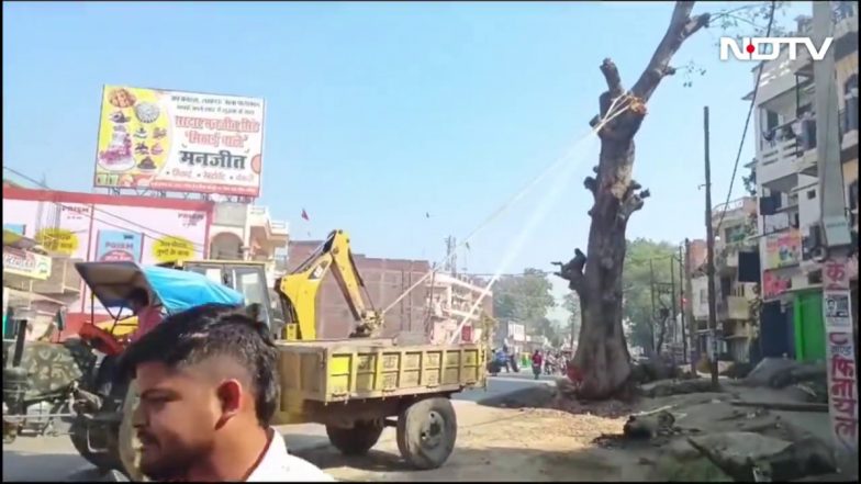 VIDEO: बलिया में पेड़ गिराने के दौरान हादसा, घर के नीचे दब गई महिलाएं, देखें वीडियो