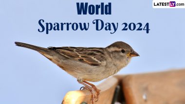 World Sparrow Day 2024: कब और क्यों मनाया जाता है विश्व गौरैया दिवस? जानें इसका महत्व, इतिहास और उनसे जुड़ी रोचक बातें!