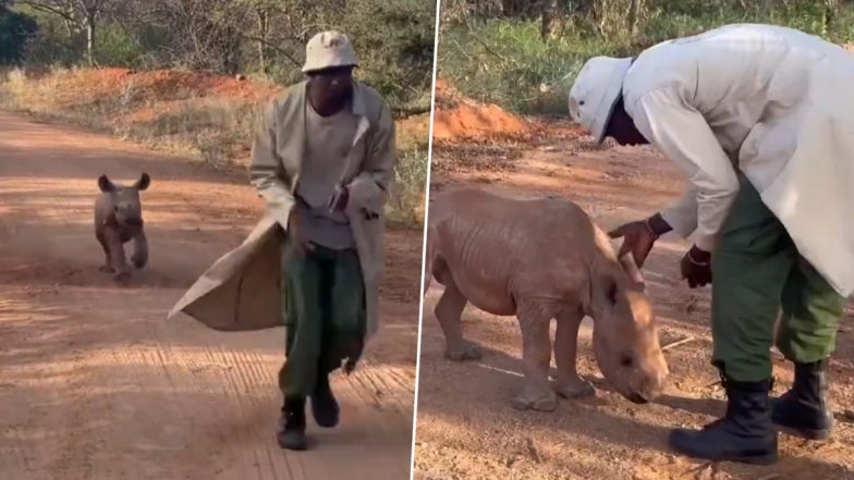 Viral Video: केयरटेकर के पीछे दौड़ता दिखा गैंडे का बच्चा, नन्हे जानवर की मस्ती देख खुश हो जाएंगे आप