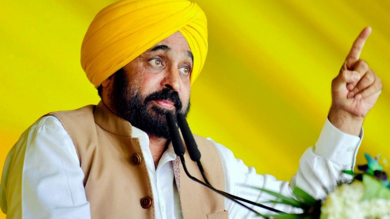 INDIA Alliance Mega Rally: 'ये देश किसी के बाप की जागीर नहीं है...' INDIA गठबंधन रैली में बोले सीएम भगवंत मान