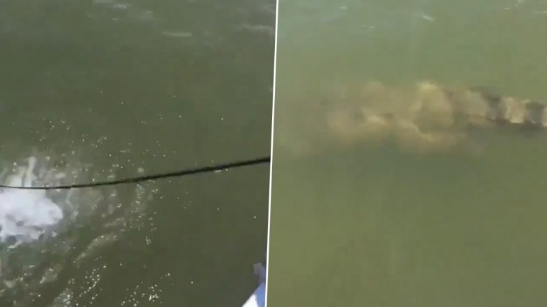 मछली पकड़ने गए शख्स के साथ हुआ खेल, कांटे में फंसा कुछ ऐसा... Viral Video देख हो जाएंगे हैरान