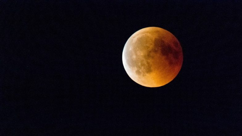 Chandra Grahan 2024: ग्रहण के दौरान जानवरों का बदल जाता है रवैया, उनके व्यवहार में आता है परिवर्तन, देखें वीडियो
