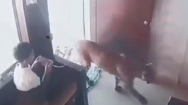 VIDEO: 12 साल के बहादुर बच्चे ने जान जोखिम में डालकर तेंदुए को कमरे में किया बंद, खौफनाक CCTV फुटेज वायरल