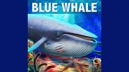 'Blue Whale Challenge': अमेरिका में भारतीय छात्र की मौत ब्लू व्हेल गेम से जुड़ी होने की संभावना