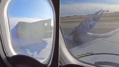 Flight Emergency Landing: अमेरिका में टला बड़ा हवाई दुर्घटना! साउथवेस्ट एयरलाइंस की बोइंग 737 का इंजन काउलिंग के पार्ट टूटने की वजह से करनी पड़ी इमरजेंसी लैंडिंग, देखें वीडियो 