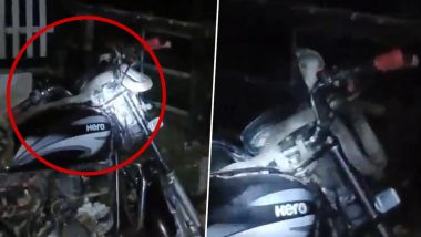 OMG! अमेठी में रेलवे क्रासिंग बंद होते ही बाइक पर चढ़े नागराज, डर के मारे भागे लोग, देखें VIDEO