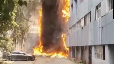 Lucknow Fire: लखनऊ के गोखले मार्ग पर खनिज भवन में लगी भीषण आग, फायर फाइटर ने शुरू की बुझाने की अभियान, देखें वीडियो