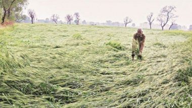 यवतमाल जिले में बेमौसम बारिश से दो दिनों में 500 घरों का नुकसान, बिजली गिरने से एक महिला की मौत तो वही तीन जख्मी