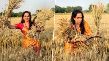 Lok Sabha Election 2024:  चिलचिलाती धूप में गेहूं काटते नजर आईं हेमा मालिनी, कहा- किसानों के बीच जाकर अच्छा लगा, देखें वायरल PHOTOS