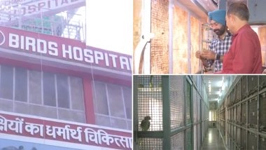 Video :चांदनी चौक के ' दी चैरिटी बर्ड हॉस्पिटल ' में हो रहा है हीटवेव से बीमार पक्षियों का इलाज