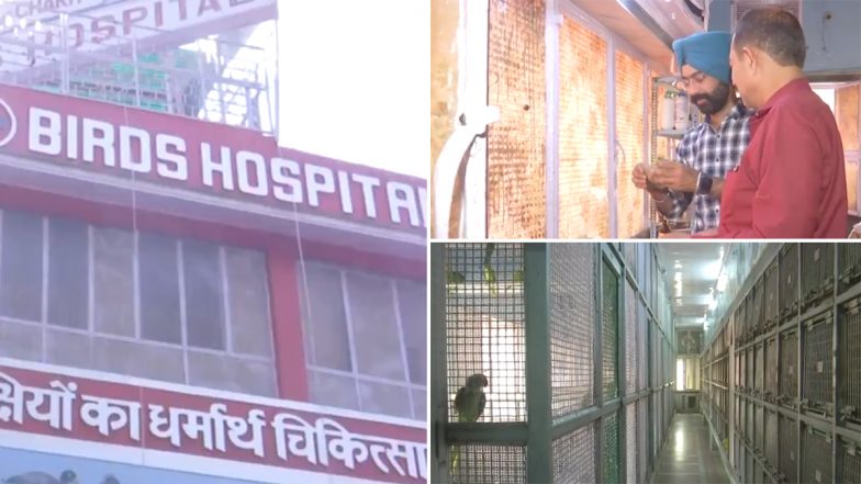 Video :चांदनी चौक के ' दी चैरिटी बर्ड हॉस्पिटल ' में हो रहा है हीटवेव से बीमार पक्षियों का इलाज