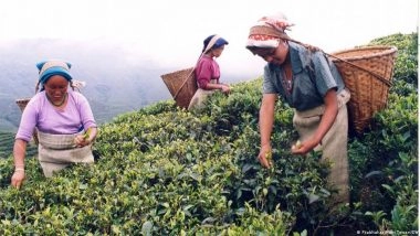 दार्जिलिंग चुनाव में पहली बार पर्यावरण भी बना मुद्दा, लद्दाख जैसी मांग उठी