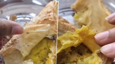 OMG: कैंटीन के समोसे में मिलीं चीटियां! दिल्ली यूनिवर्सिटी का वीडियो वायरल! जांच के आदेश जारी