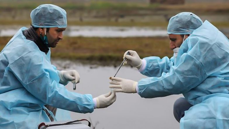 Bird Flu: रांची में बर्ड फ्लू को लेकर हाई अलर्ट, केंद्रीय टीम ने अस्पतालों का लिया जायजा, पांच क्वॉरेंटाइन