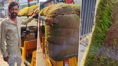 चिलचिलाती गर्मी से बचने का जबरदस्त जुगाड़, ऑटोवाले ने अपनी ऑटो को घास से कर दिया हरा-भरा (Watch Viral Video)