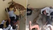 UP Leopard Live Attack Video: यूपी के सिद्धार्थनगर में एक गांव में घुसा तेंदुआ, जानलेवा हमला कर कई लोगों को किया जख्मी