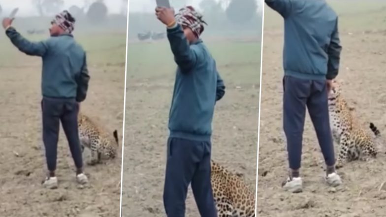 Viral Video: खेत में घुसे खूंखार तेंदुए के साथ मजे से सेल्फी लेने लगा शख्स, हैरान करने वाला वीडियो हुआ वायरल