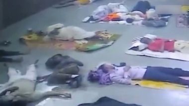 VIDEO: स्टेशन पर लेट-लेट कर की अनोखी चोरी! सो रहे यात्रियों को बनाया निशाना, CCTV फुटेज से खुली पोल