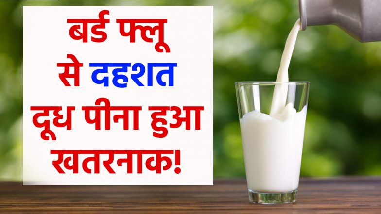 Bird Flu Virus in Milk: सावधान! अब दूध में भी मिला बर्ड फ्लू का खतरनाक वायरस, अमेरिकी लोगों में दहशत