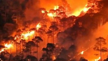 Forest Fire in Uttarakhand: ‘हमारा काम है आग लगाना और आग पर चलना', उत्तराखंड के जंगलों में आग लगाकर फेमस होना चाहते थे, वीडियो वायरल होने पर 3 गिरफ्तार (Watch Video)