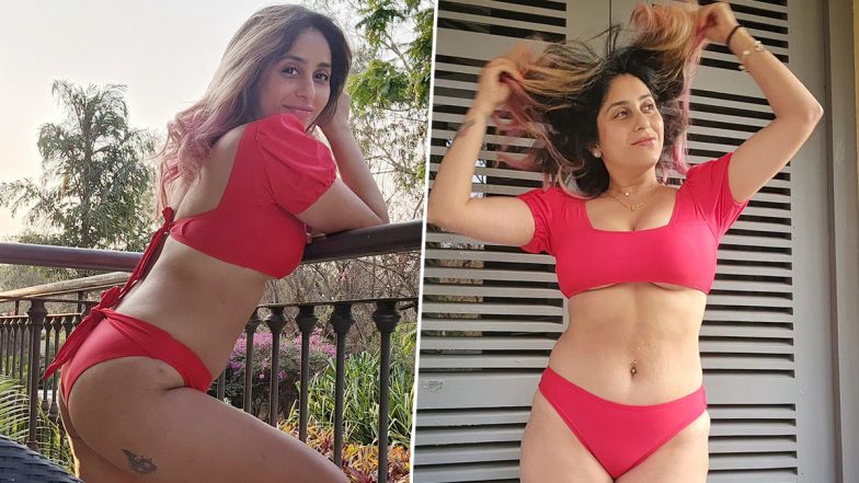 Neha Bhasin ने रेड बिकनी पहन लगाई आग, एक्ट्रेस की हॉटनेस ने बढ़ाया सोशल मीडिया का तापमान (View Pics)