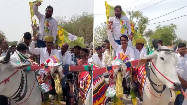 Lok Sabha Election 2024: गाड़ी-ट्रैक्टर छोड़ बैलगाड़ी पर सवार होकर चुनाव प्रचार करने निकले RLP प्रमुख हनुमान बेनीवाल, वीडियो वायरल