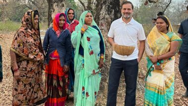 Rahul Gandhi Meets Tribal Women: मध्य प्रदेश के दौरे पर राहुल गांधी, उमरिया में जंगल में महुआ चुन रही आदिवासी महिलाओं से की मुलाकात- View Pic