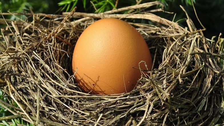 J&amp;K Egg Auction: गजब! जम्मू-कश्मीर में मस्जिद बनाने के लिए बुजुर्ग महिला ने दान किया अंडा, नीलामी में मिले 2.26 लाख रुपये (Watch Video)
