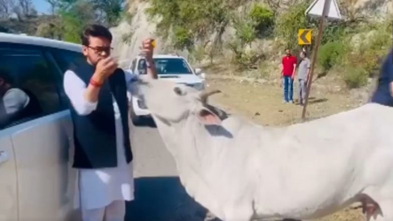 VIDEO: केंद्रीय मंत्री अनुराग ठाकुर ने रास्ते में गाड़ी रोककर गाय को खिलाया चारा, सोशल मीडिया वायरल हुआ वीडियो