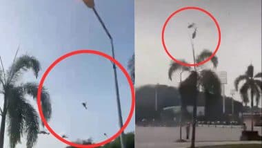 Two Military Helicopters Crash in Malaysia: मलेशिया में नौसेना के 2 हेलिकॉप्टर क्रैश, 10 लोगों की दर्दनाक मौत, देखें हादसे का भयावह वीडियो