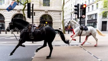 London Horse Video: लंदन की सड़कों पर बेकाबू हुए खून से लथपथ घोड़े, देखें अफरा-तफरी वाला ये वीडियो