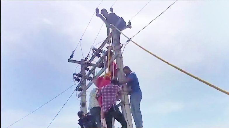 VIDEO: पति के साथ प्रेमी को भी घर में रखने की जिद! प्यार के खुमार में बिजली पोल पर चढ़ी 3 बच्चों की मां